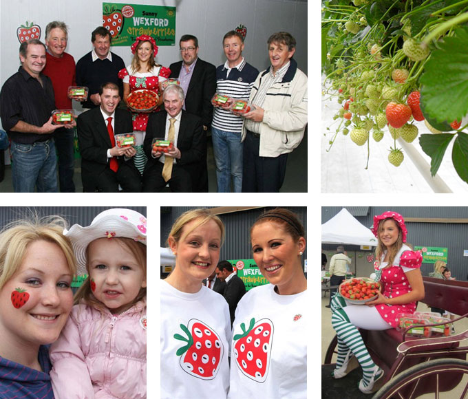 Sunny Wexford Strawberries Launch Party